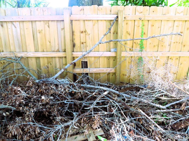 Wood Pile Removal in Ventura County, CA