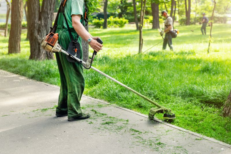 Landscape And Yard Clean Up Service