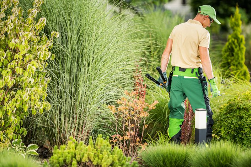 Landscape And Yard Clean Up Service