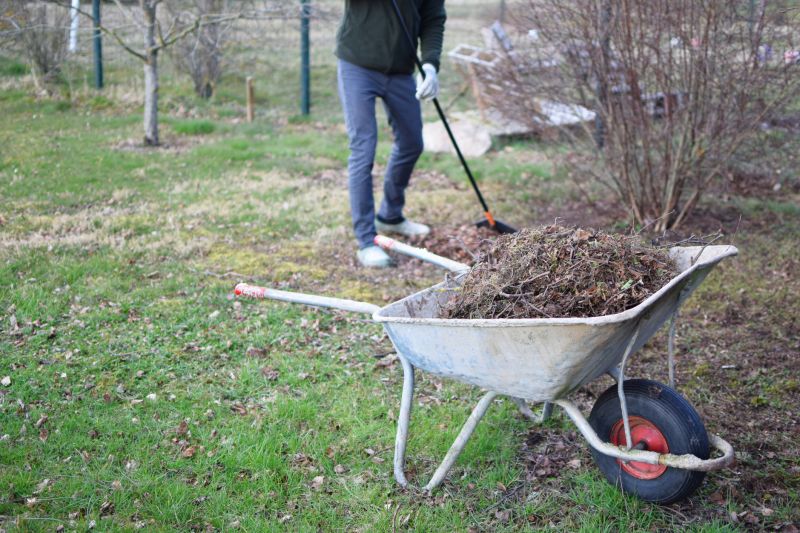Brush Cleaning Service in Ventura County, CA