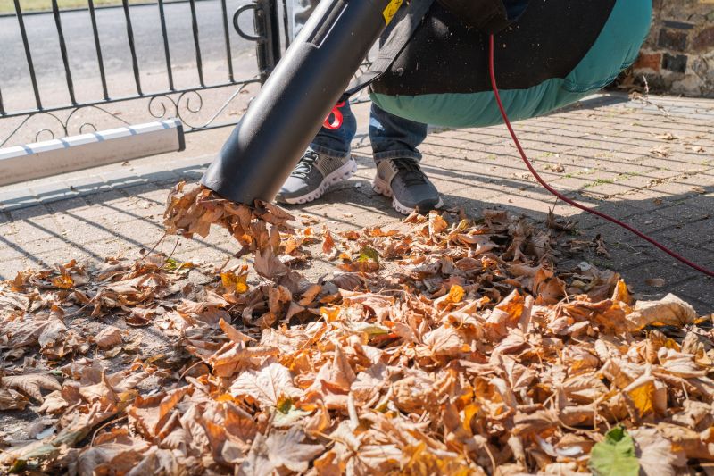 Commercial Leaf Removal in Ventura County, CA
