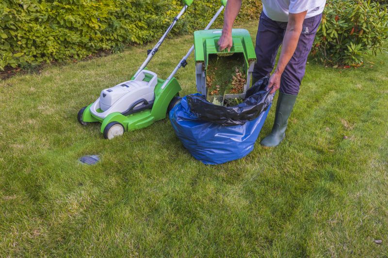 Landscape And Yard Clean Up Service
