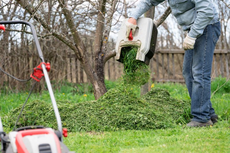 Spring Lawn Cleanup