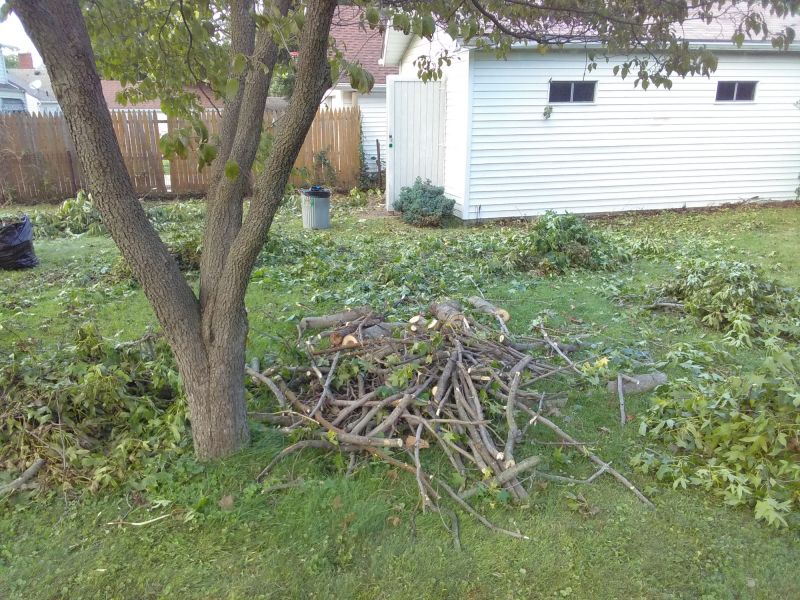Leaf Removal in Ventura County, CA