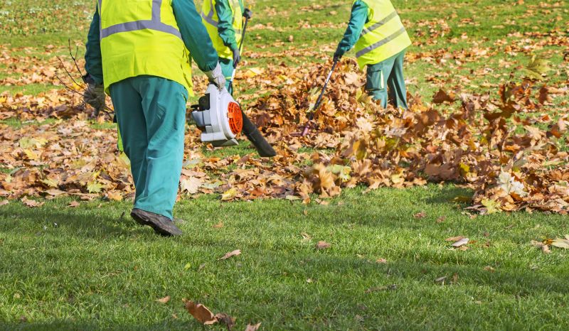Leaves Vacuuming in Ventura County, CA