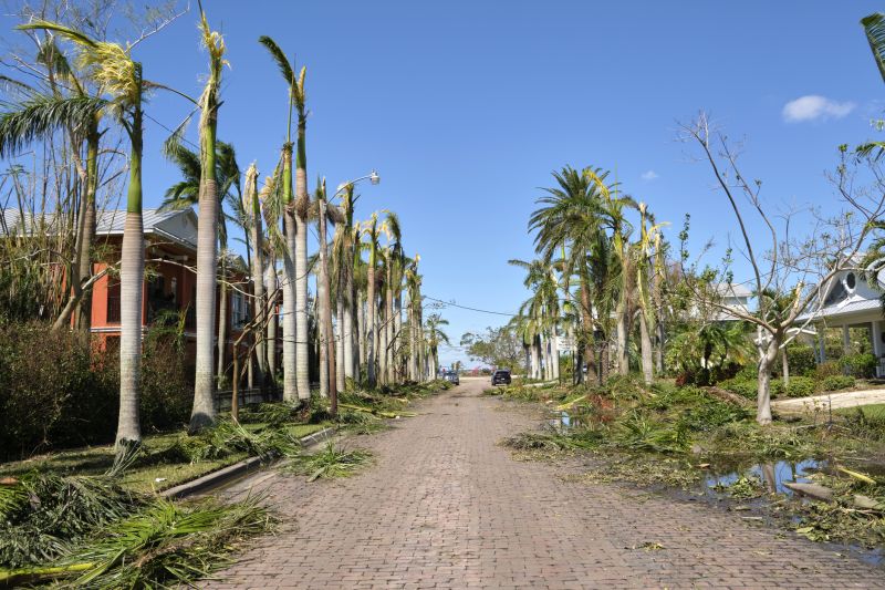 Limbs Removal in Ventura County, CA