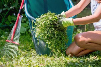 Spring Yard Cleanup in Ventura County, CA