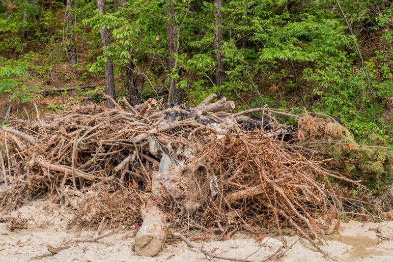 Tree Branch Disposal in Ventura County, CA