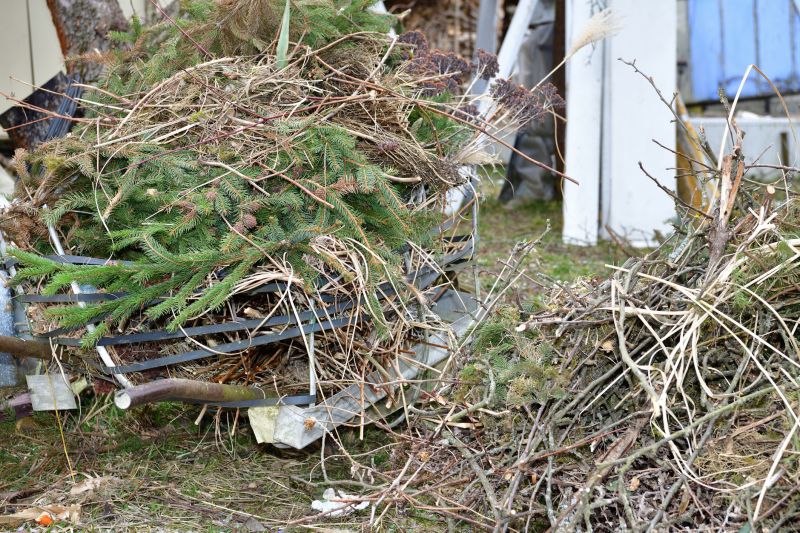 Tree Debris Removal in Ventura County, CA