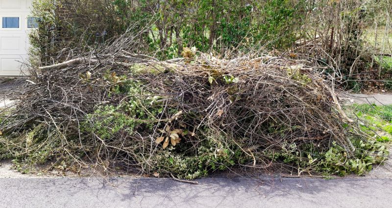 Tree Debris Removal in Ventura County, CA