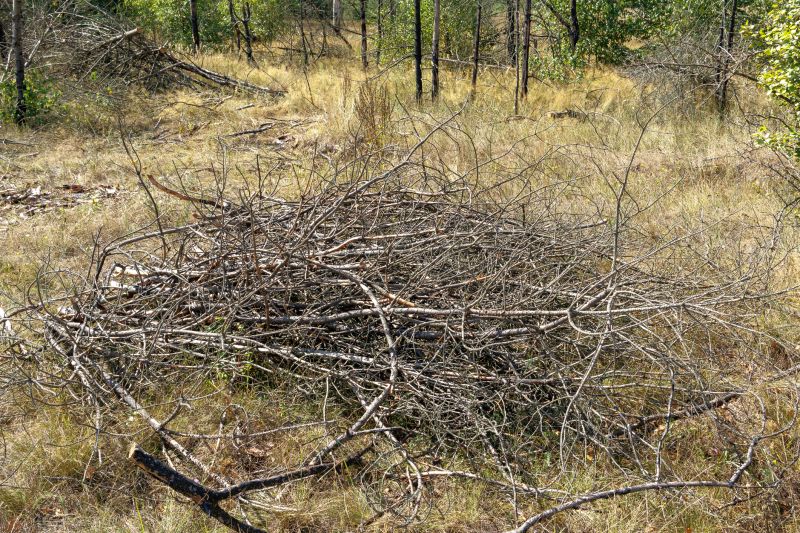 Yard Debris Removal in Ventura County, CA
